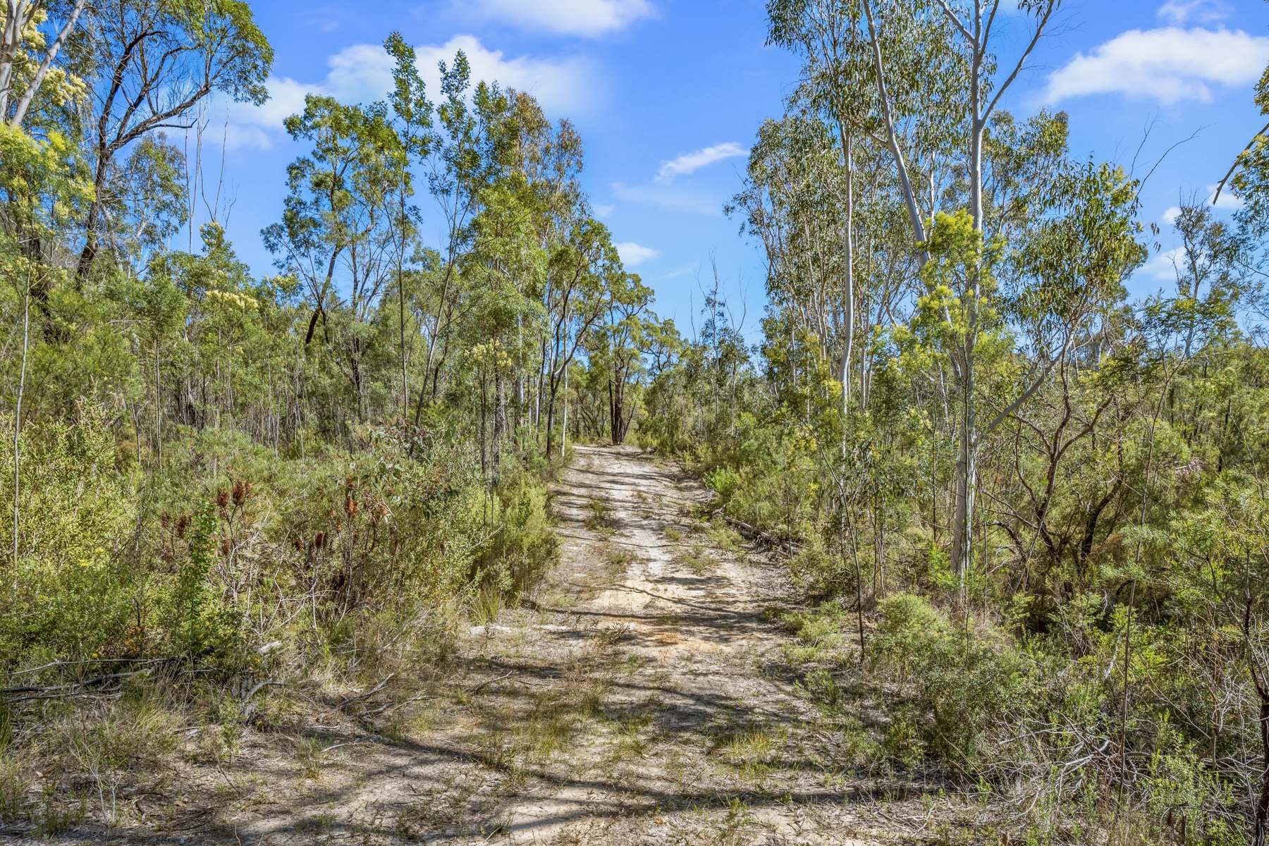 6333 Putty Road, Howes Valley Sold by Farmbuy.com - image 8