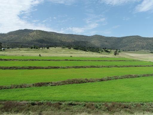 Farm Sold - QLD - Swanfels - 4371 - WEST FACING 15HA BLOCK OF RURAL LAND 