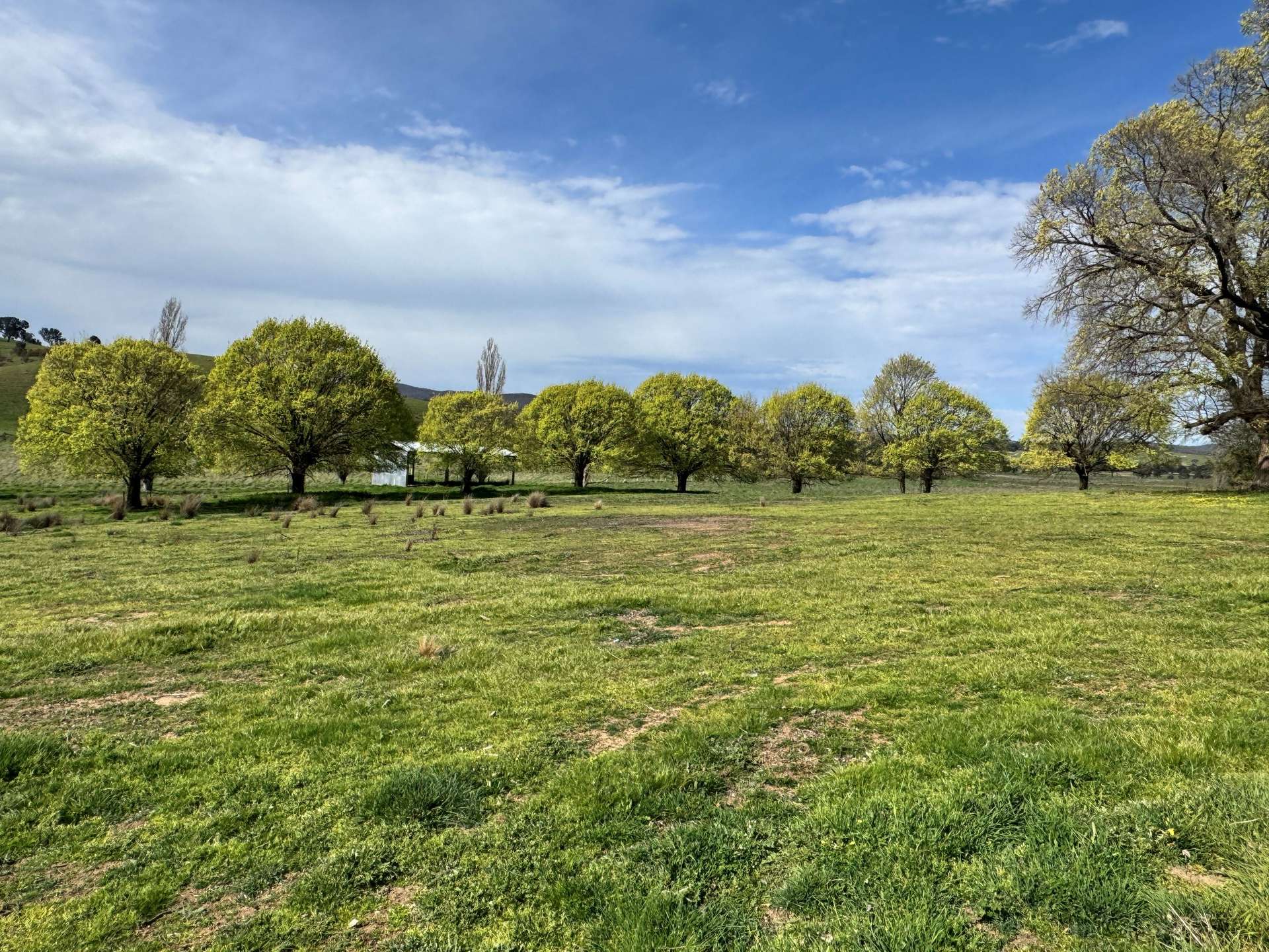4705 Gundaroo Road, Gundaroo Sold by Farmbuy.com - image 13