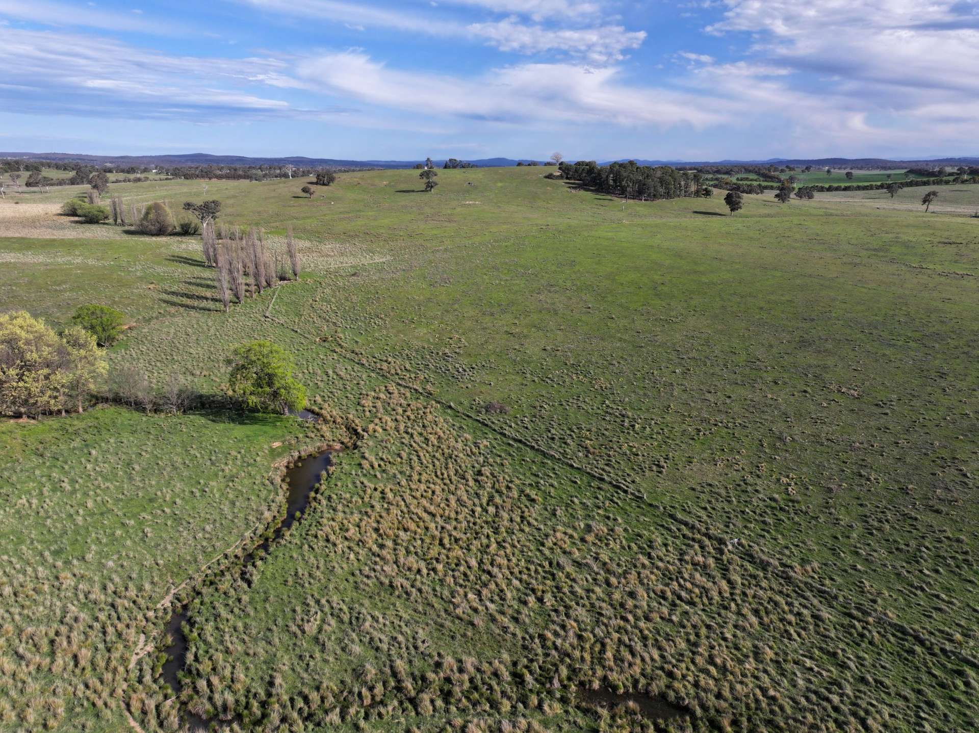 4705 Gundaroo Road, Gundaroo Sold by Farmbuy.com - image 23