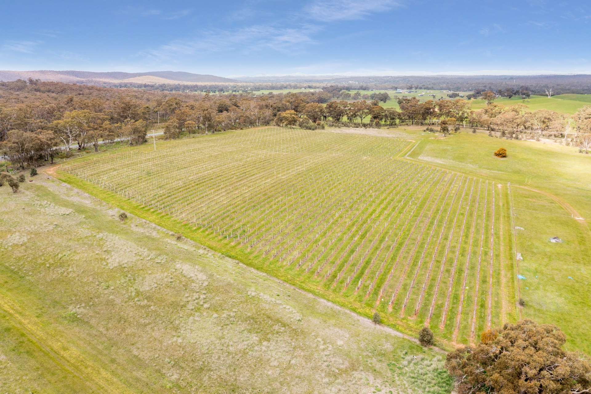 563 Northern Highway, Heathcote Sold by Farmbuy.com - image 5
