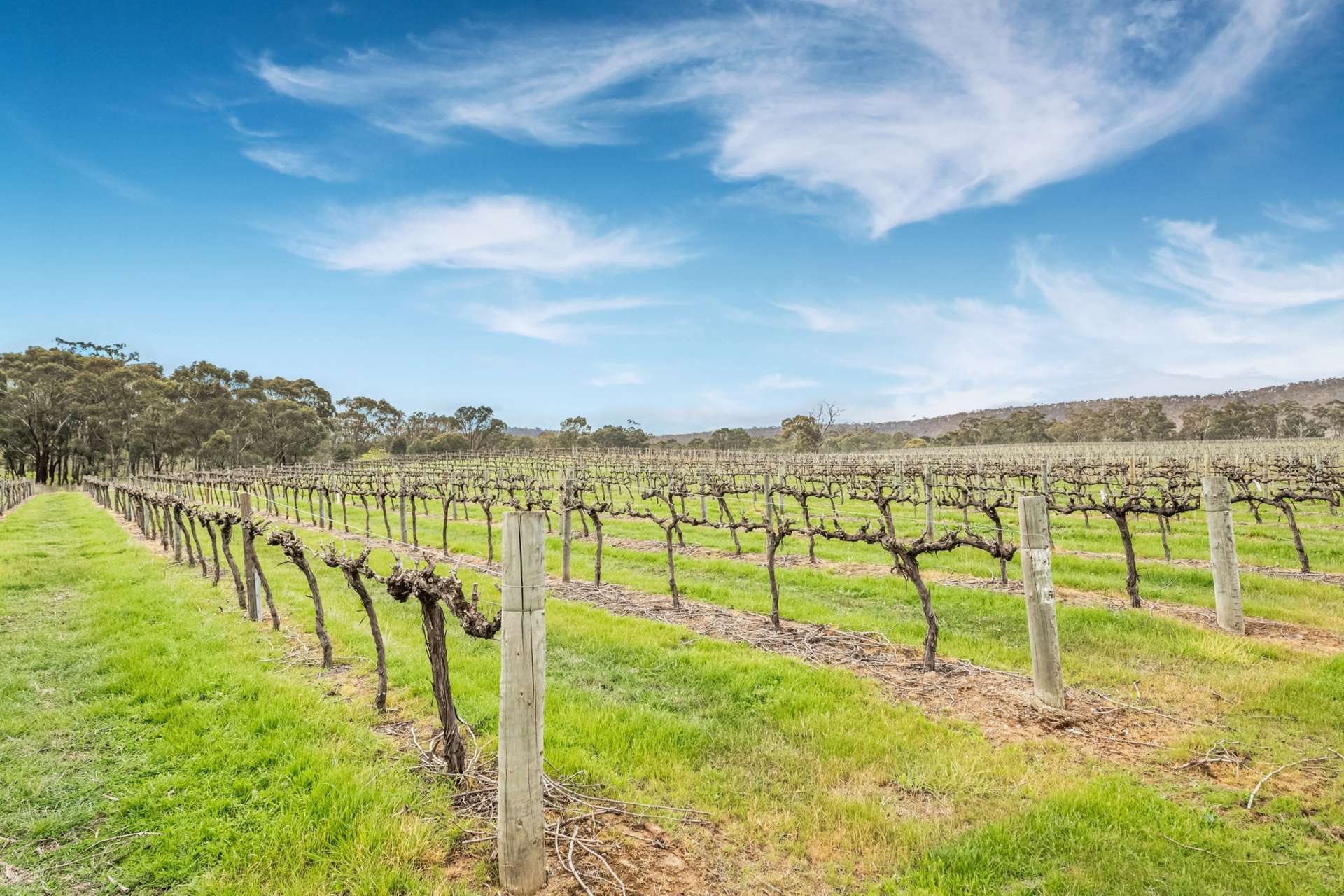 695 Northern Highway, Heathcote For Sale by Farmbuy.com - image 4