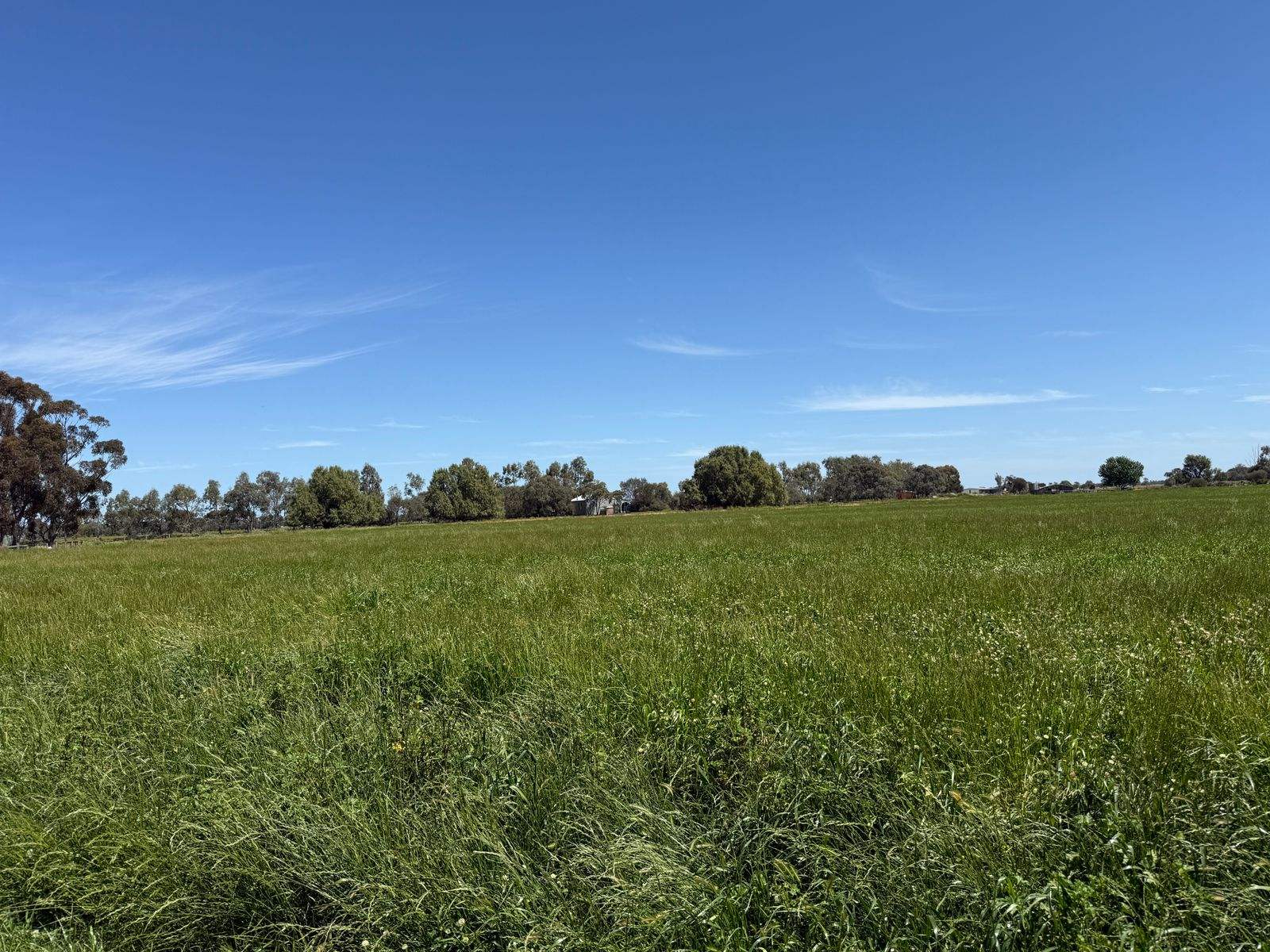 94 Gunbower-Pyramid Road, Gunbower Sold by Farmbuy.com - image 12