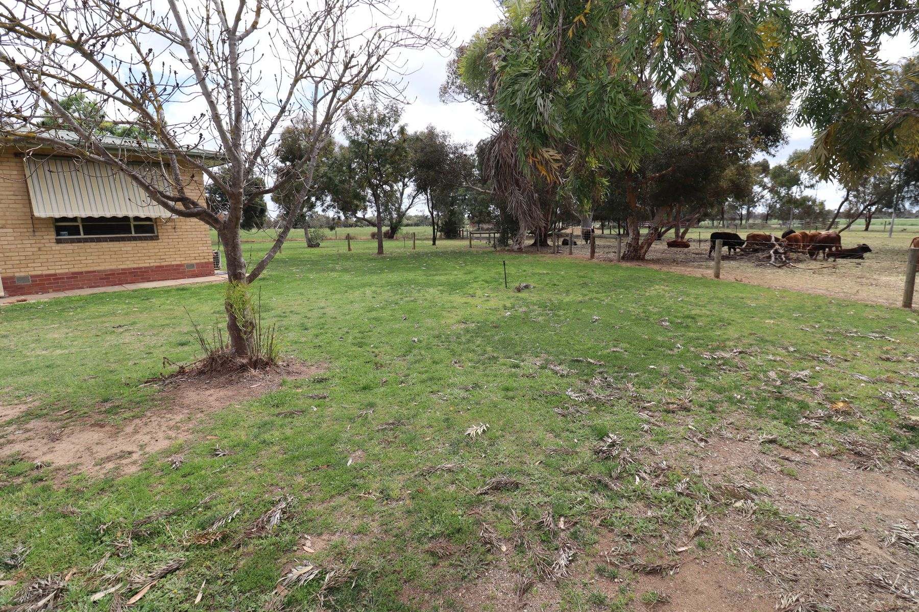 94 Gunbower-Pyramid Road, Gunbower Sold by Farmbuy.com - image 10