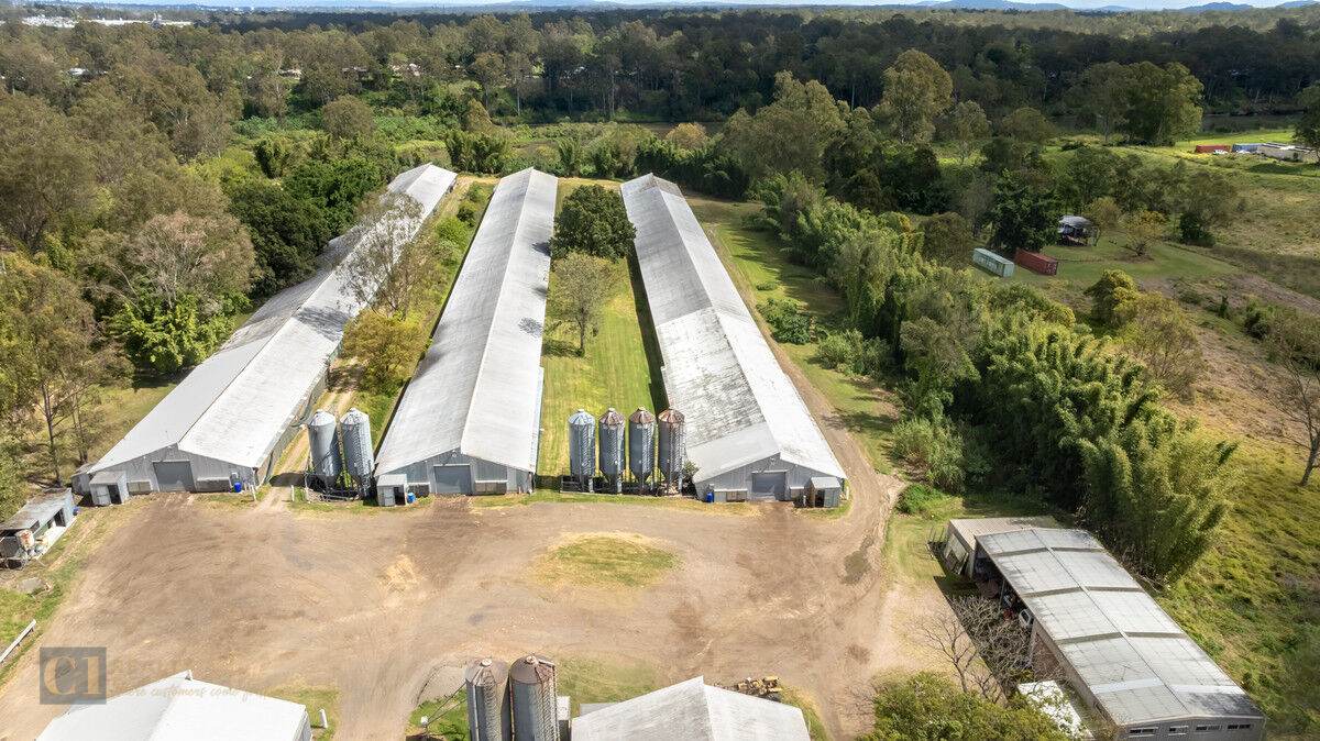 210 Hawkesbury Road, Moggill For Sale by Farmbuy.com - image 6