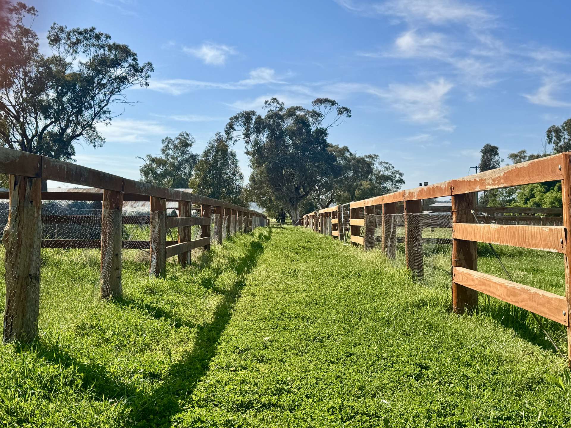 "Glenaladale" 167 Mooki Springs Road, Quirindi For Sale by Farmbuy.com - image 16