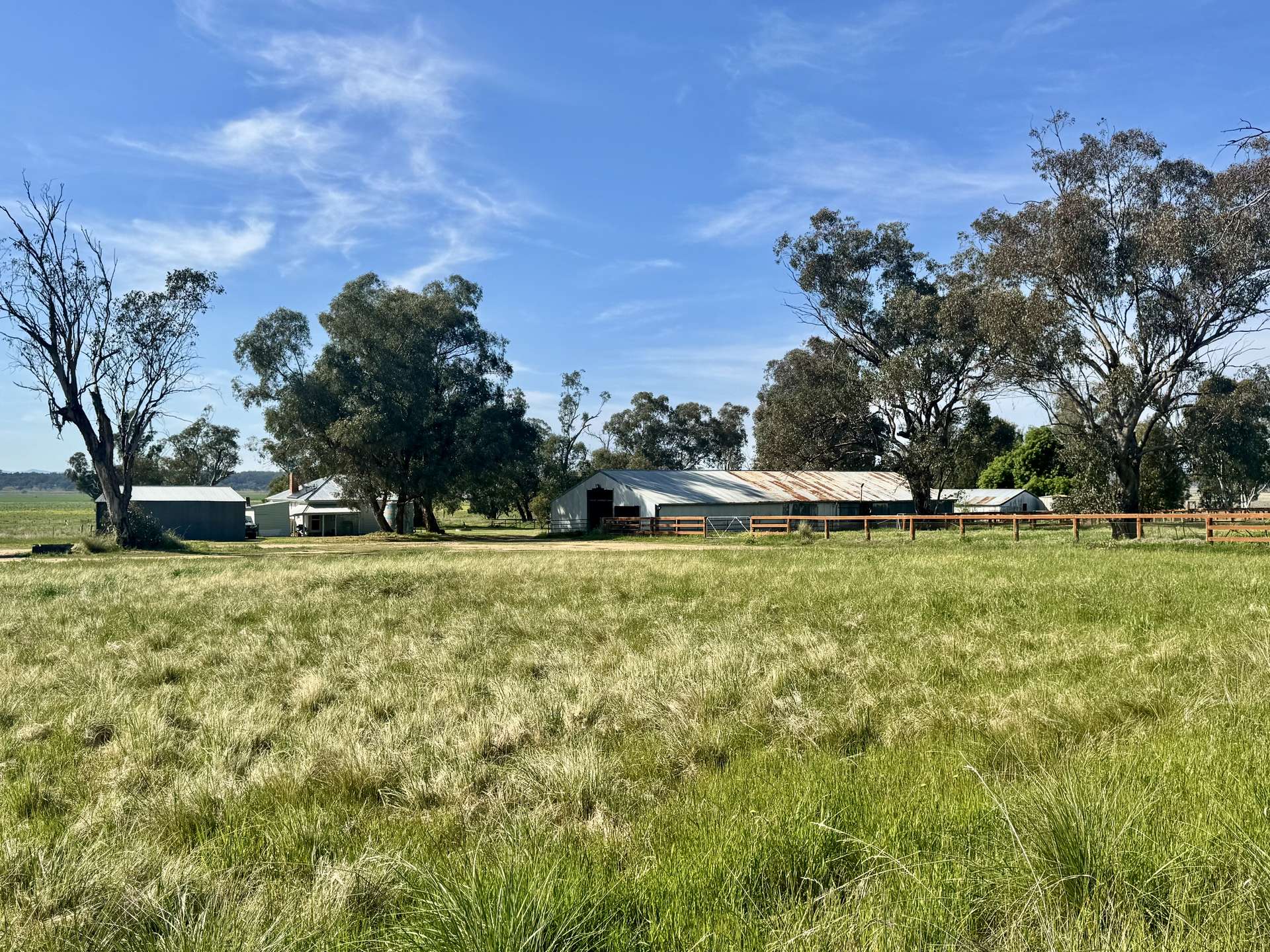 "Glenaladale" 167 Mooki Springs Road, Quirindi For Sale by Farmbuy.com - image 10