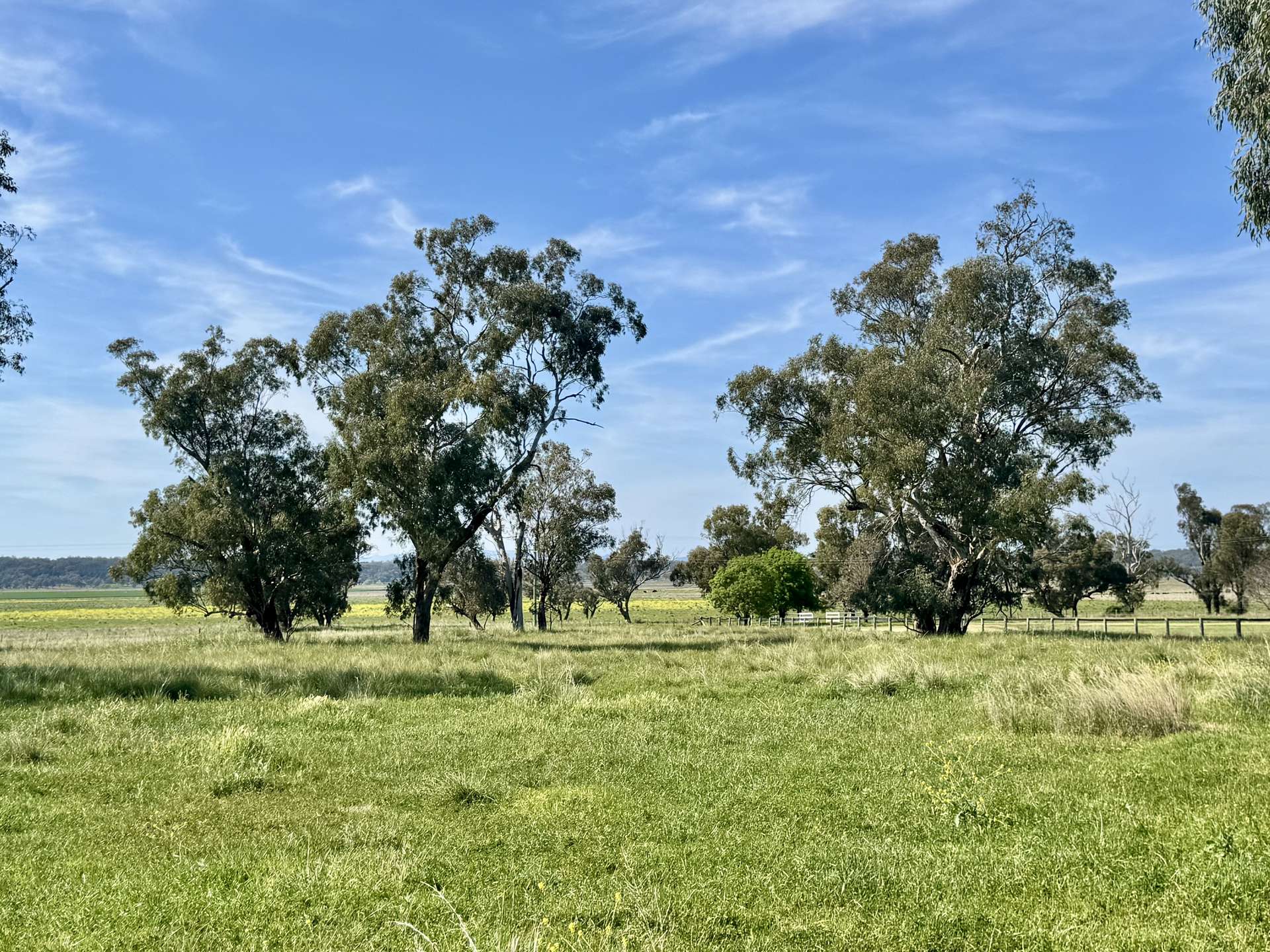 "Glenaladale" 167 Mooki Springs Road, Quirindi For Sale by Farmbuy.com - image 12