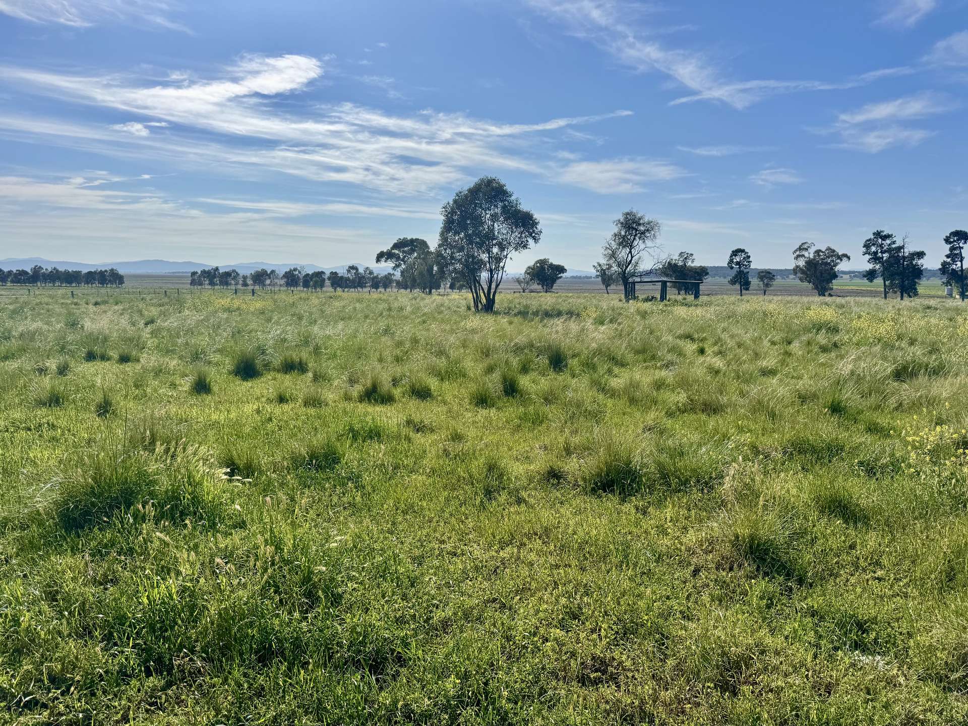 "Glenaladale" 167 Mooki Springs Road, Quirindi For Sale by Farmbuy.com - image 8