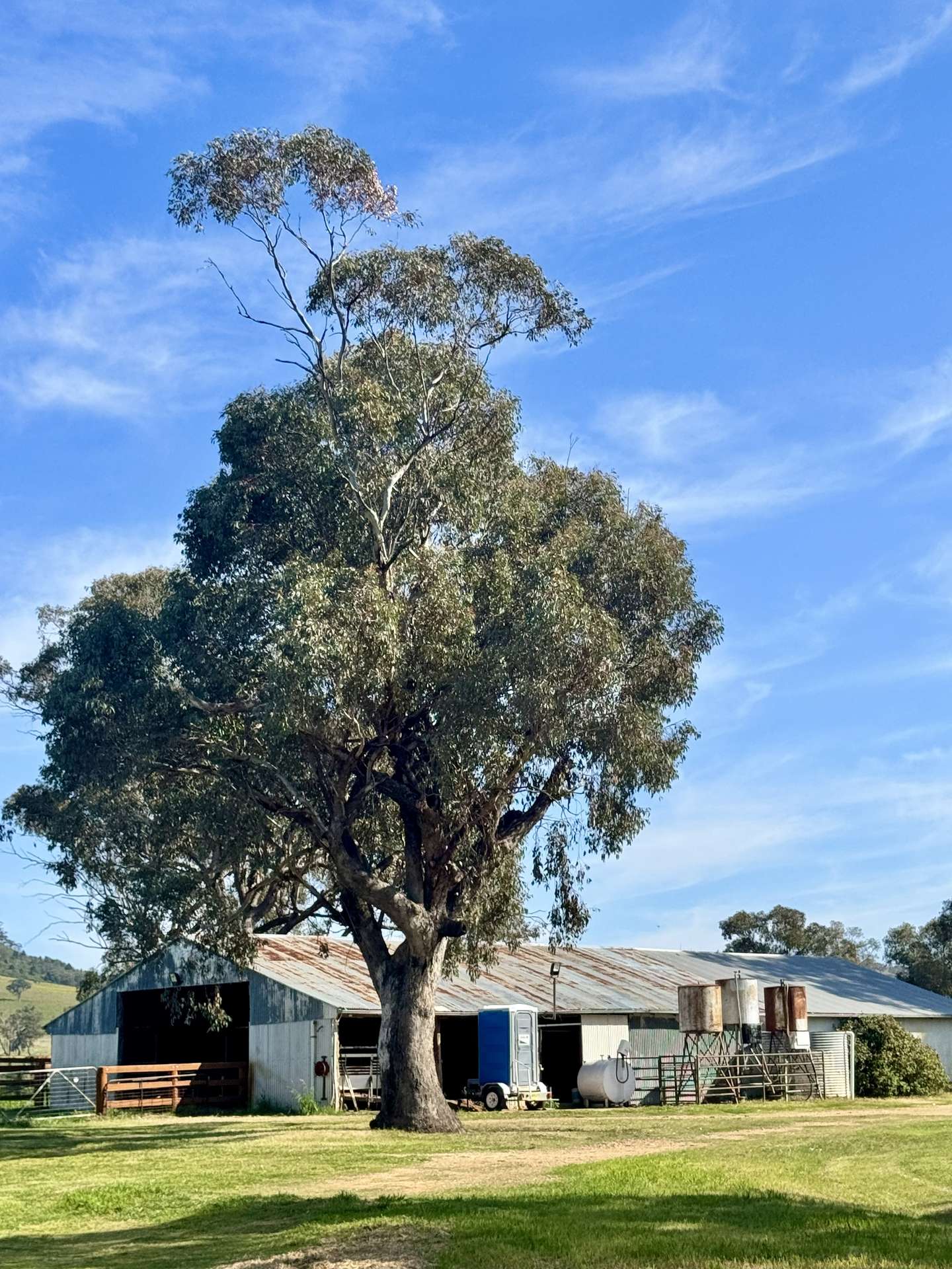 "Glenaladale" 167 Mooki Springs Road, Quirindi For Sale by Farmbuy.com - image 14