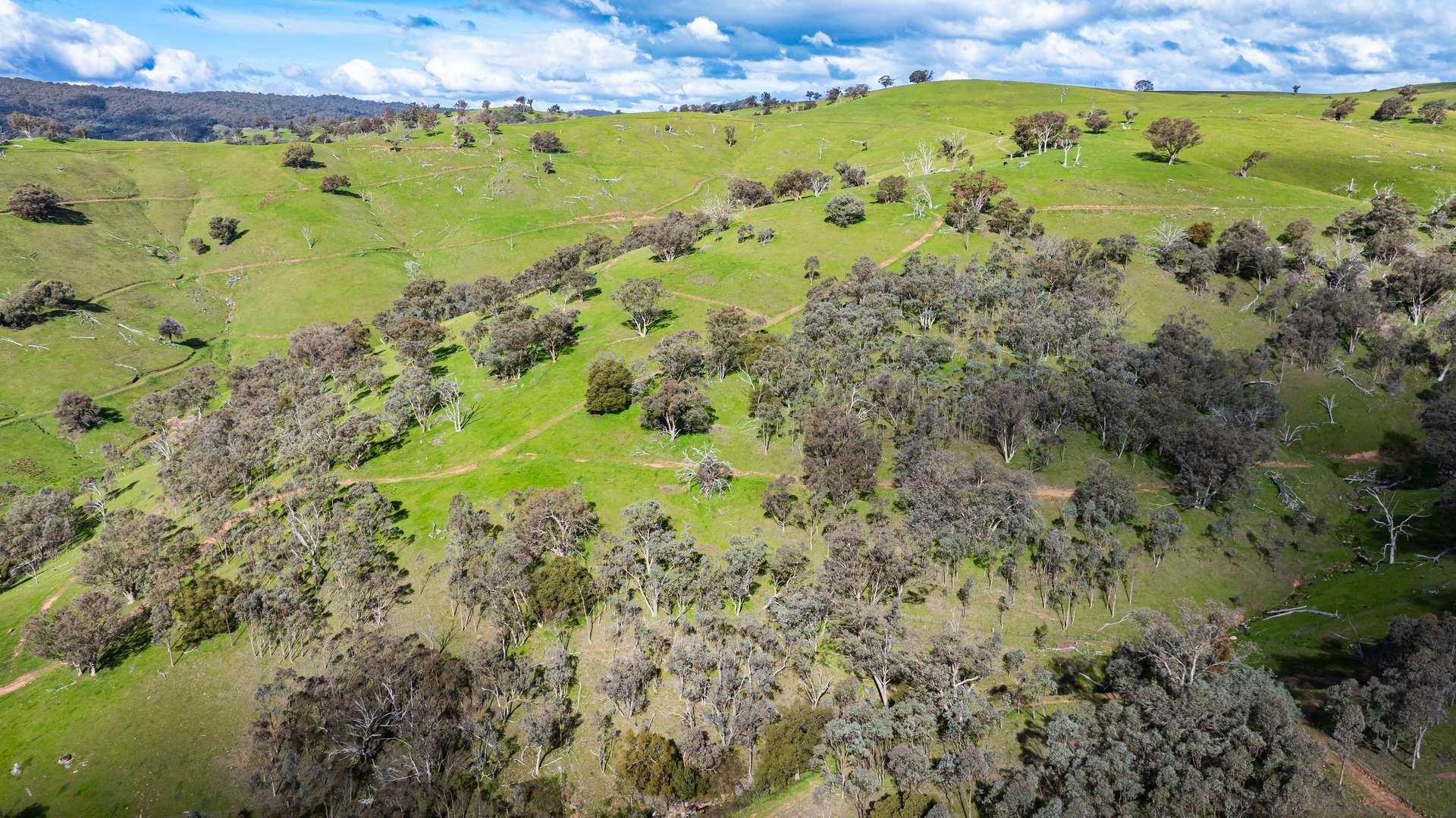 . Packers Road, Bethanga For Sale by Farmbuy.com - image 10