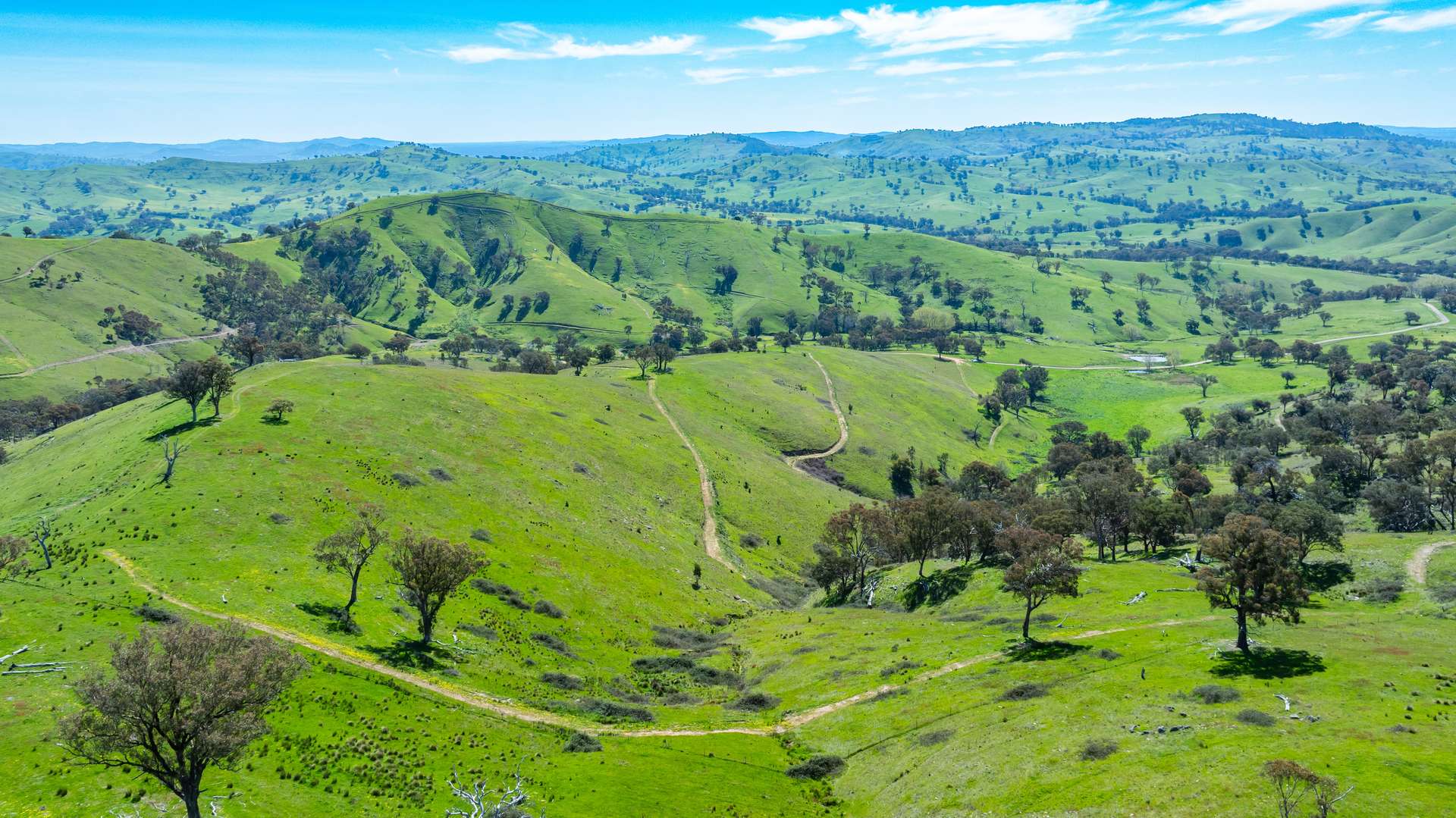 . Packers Road, Bethanga For Sale by Farmbuy.com - image 15