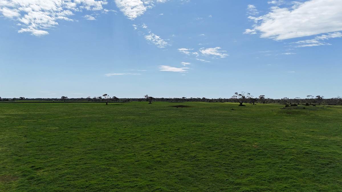 220 Harlocks Road, Pomborneit North For Sale by Farmbuy.com - image 4