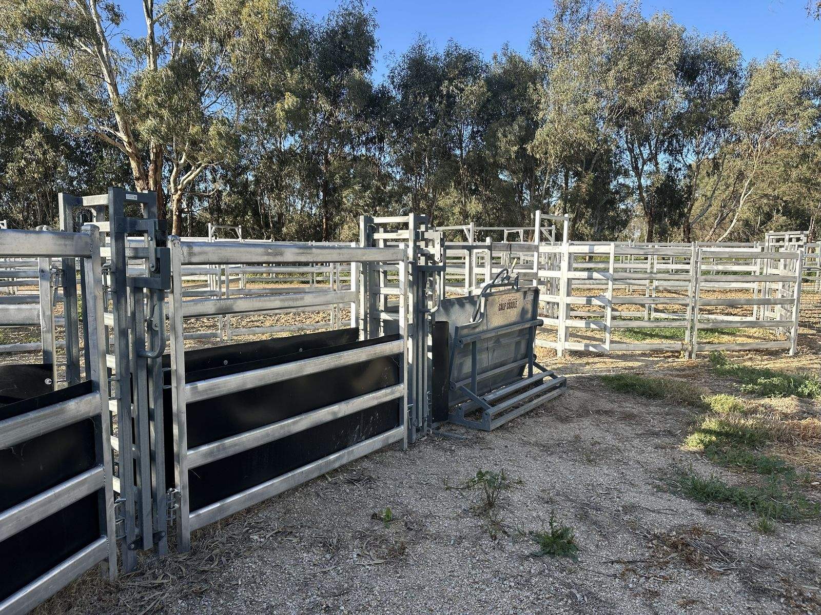 135 Kennedys Road, Cohuna For Sale by Farmbuy.com - image 19