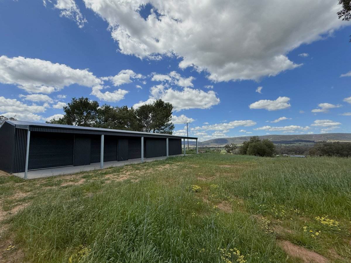 41 Wirrimah Rd, BENDICK MURRELL Via, Young Sold by Farmbuy.com - image 4