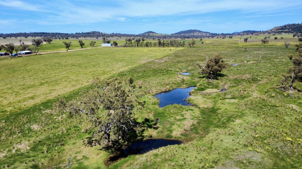 "Kanowna" 6216 Goolhi Road Mullaley Via, Gunnedah Auction by Farmbuy.com - image 7