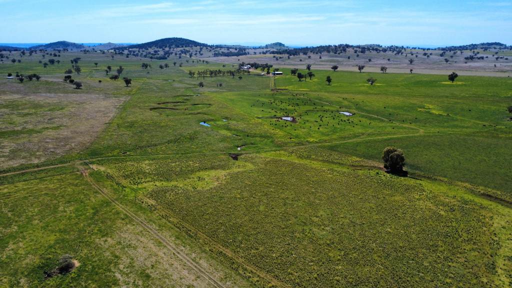 "Kanowna" 6216 Goolhi Road Mullaley Via, Gunnedah Auction by Farmbuy.com - image 5
