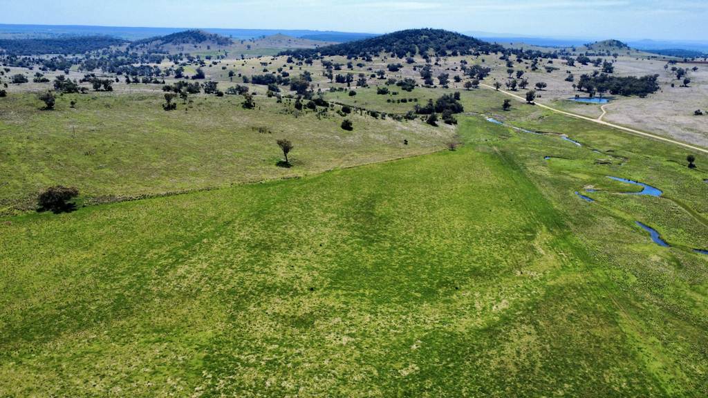 "Kanowna" 6216 Goolhi Road Mullaley Via, Gunnedah Auction by Farmbuy.com - image 6