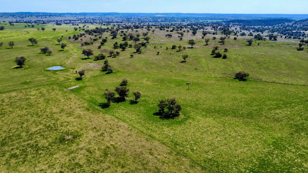 "Kanowna" 6216 Goolhi Road Mullaley Via, Gunnedah Auction by Farmbuy.com - image 8