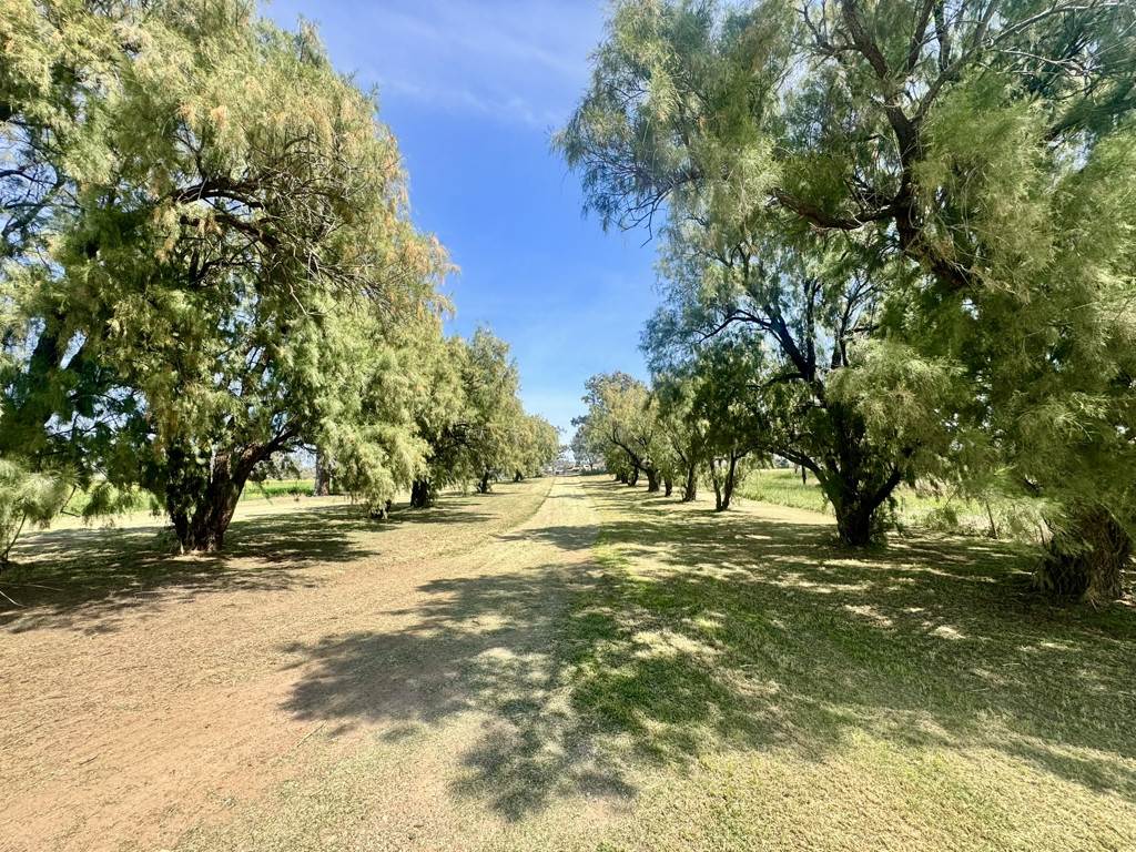 "Kanowna" 6216 Goolhi Road Mullaley Via, Gunnedah Auction by Farmbuy.com - image 17