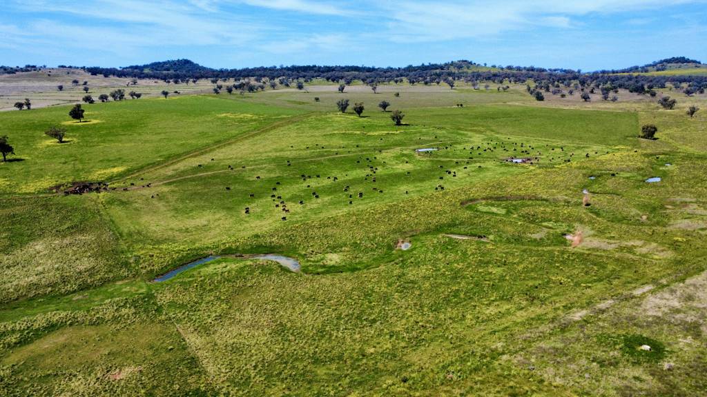 "Kanowna" 6216 Goolhi Road Mullaley Via, Gunnedah Auction by Farmbuy.com - image 4