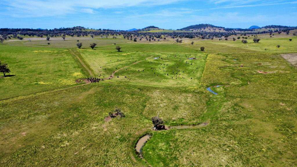 "Kanowna" 6216 Goolhi Road Mullaley Via, Gunnedah Auction by Farmbuy.com - image 3