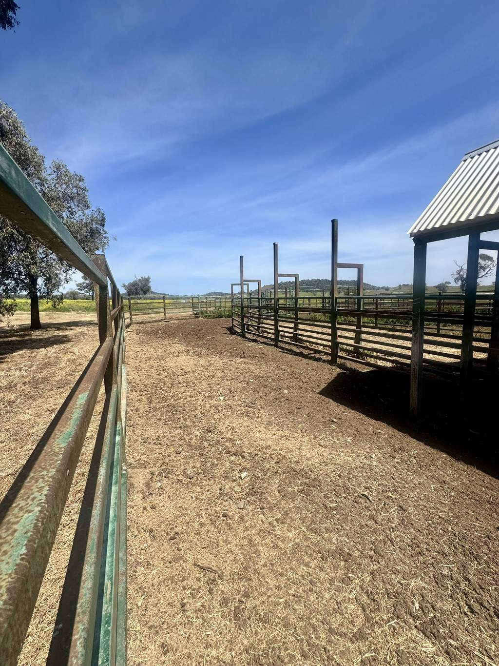 "Kanowna" 6216 Goolhi Road Mullaley Via, Gunnedah Auction by Farmbuy.com - image 14