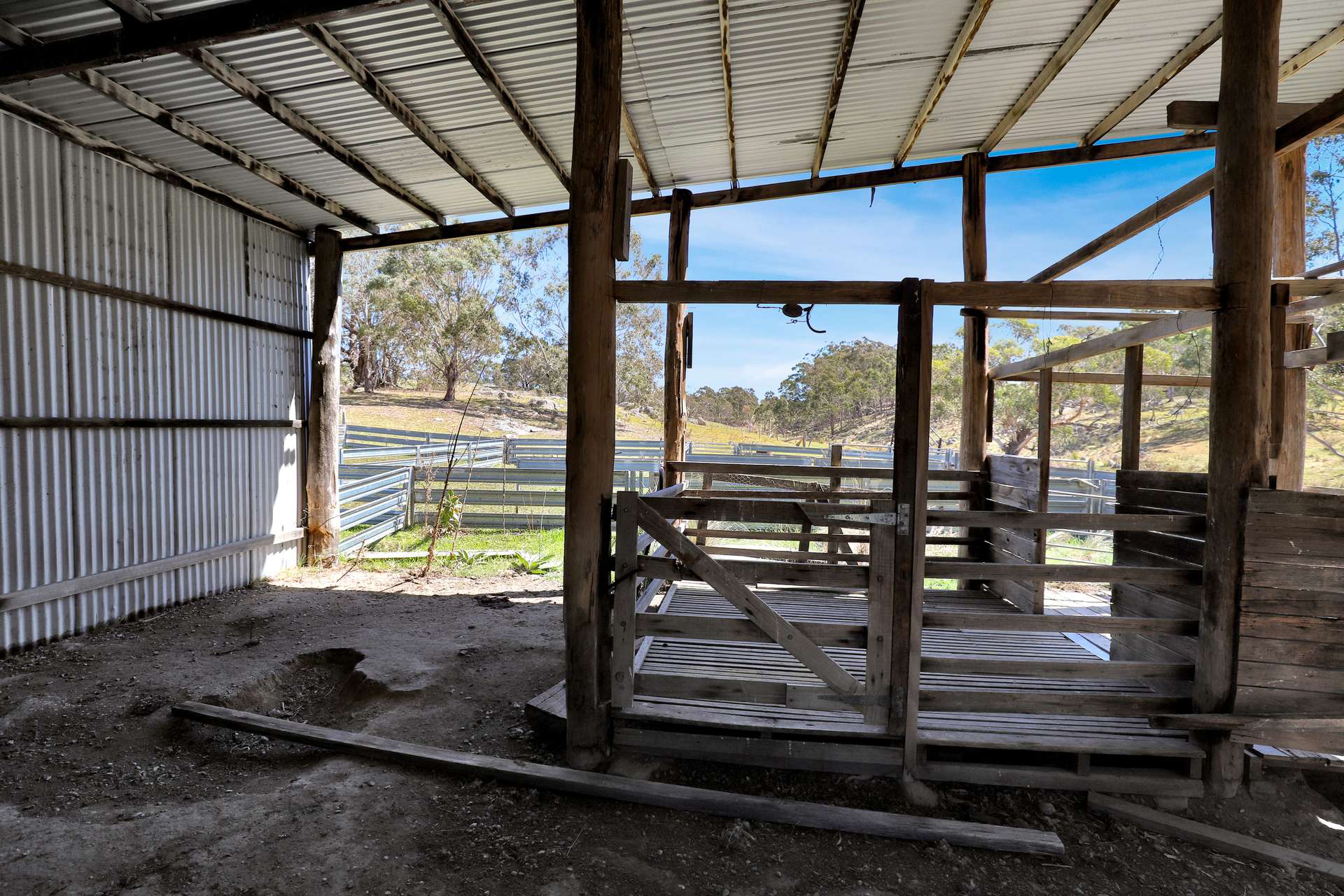 "Glenroy" Corrowong Road, Delegate For Sale by Farmbuy.com - image 15