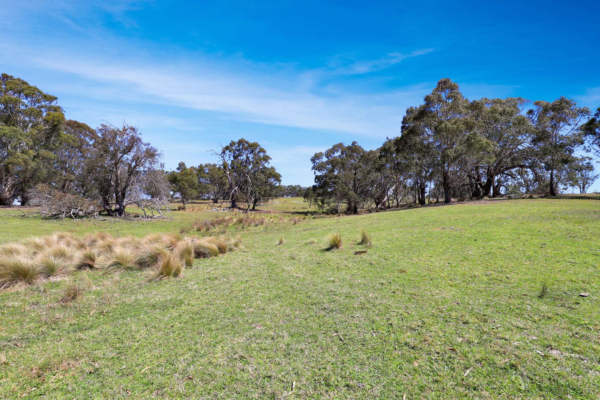 "Glenroy" Corrowong Road, Delegate For Sale by Farmbuy.com - image 23