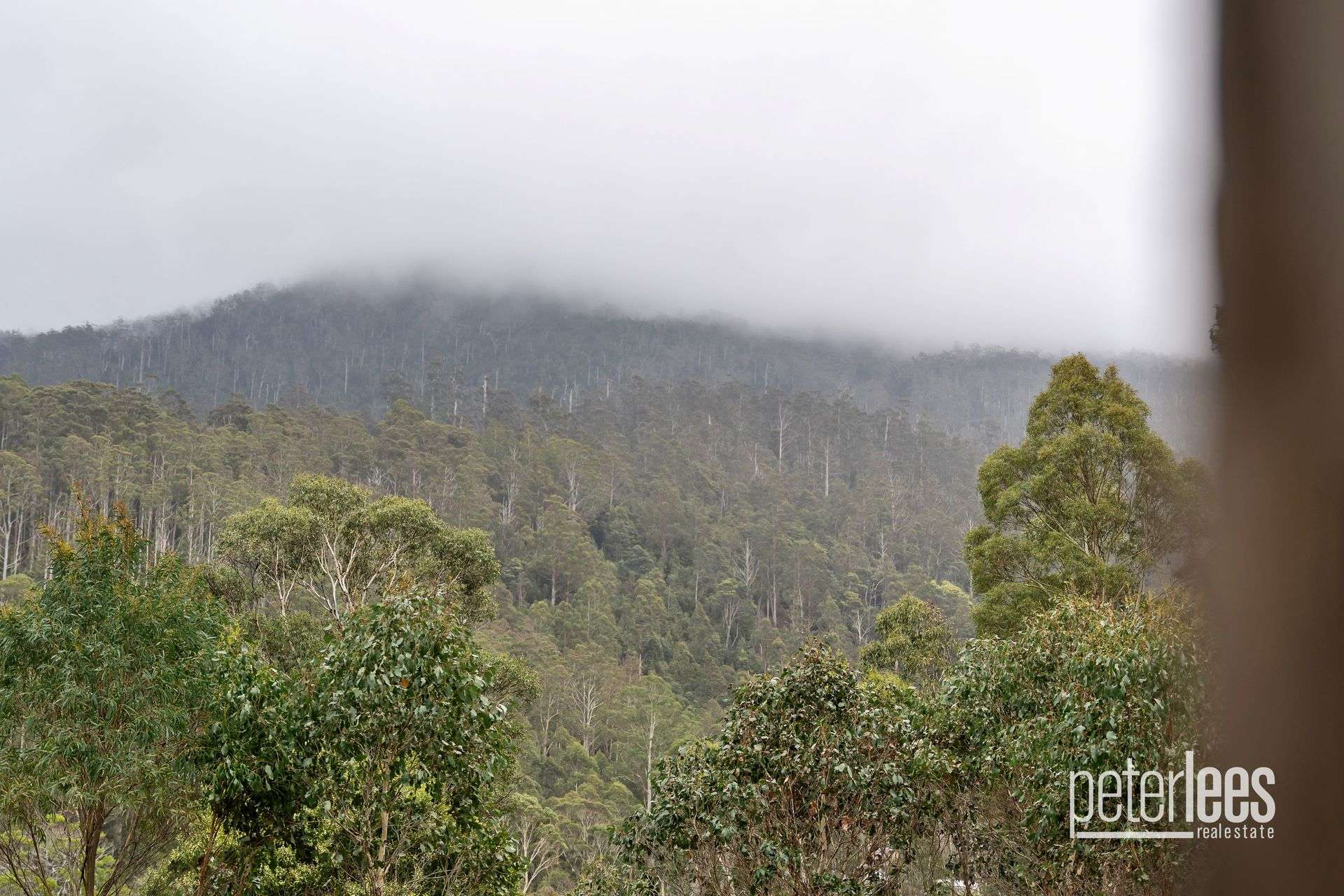 205 Mount Arthur Road, Patersonia Sold by Farmbuy.com - image 16