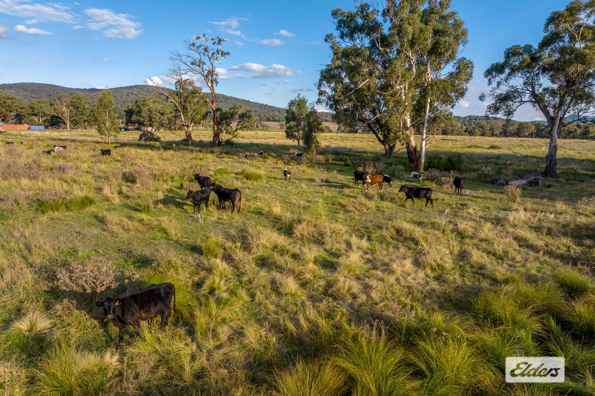 686 Taralga Road, Goulburn Sold by Farmbuy.com - image 14