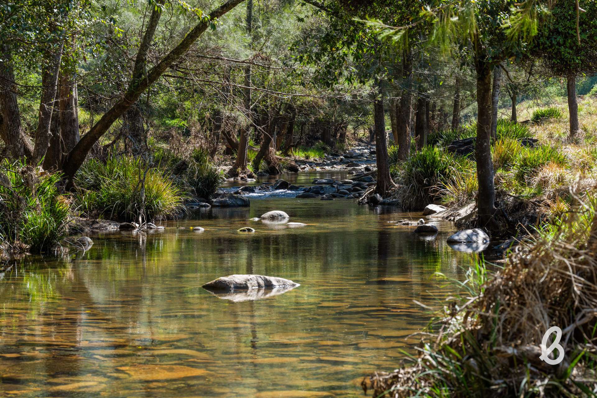 "Fosters" Off Cassels Road, Singleton Sold by Farmbuy.com - image 3