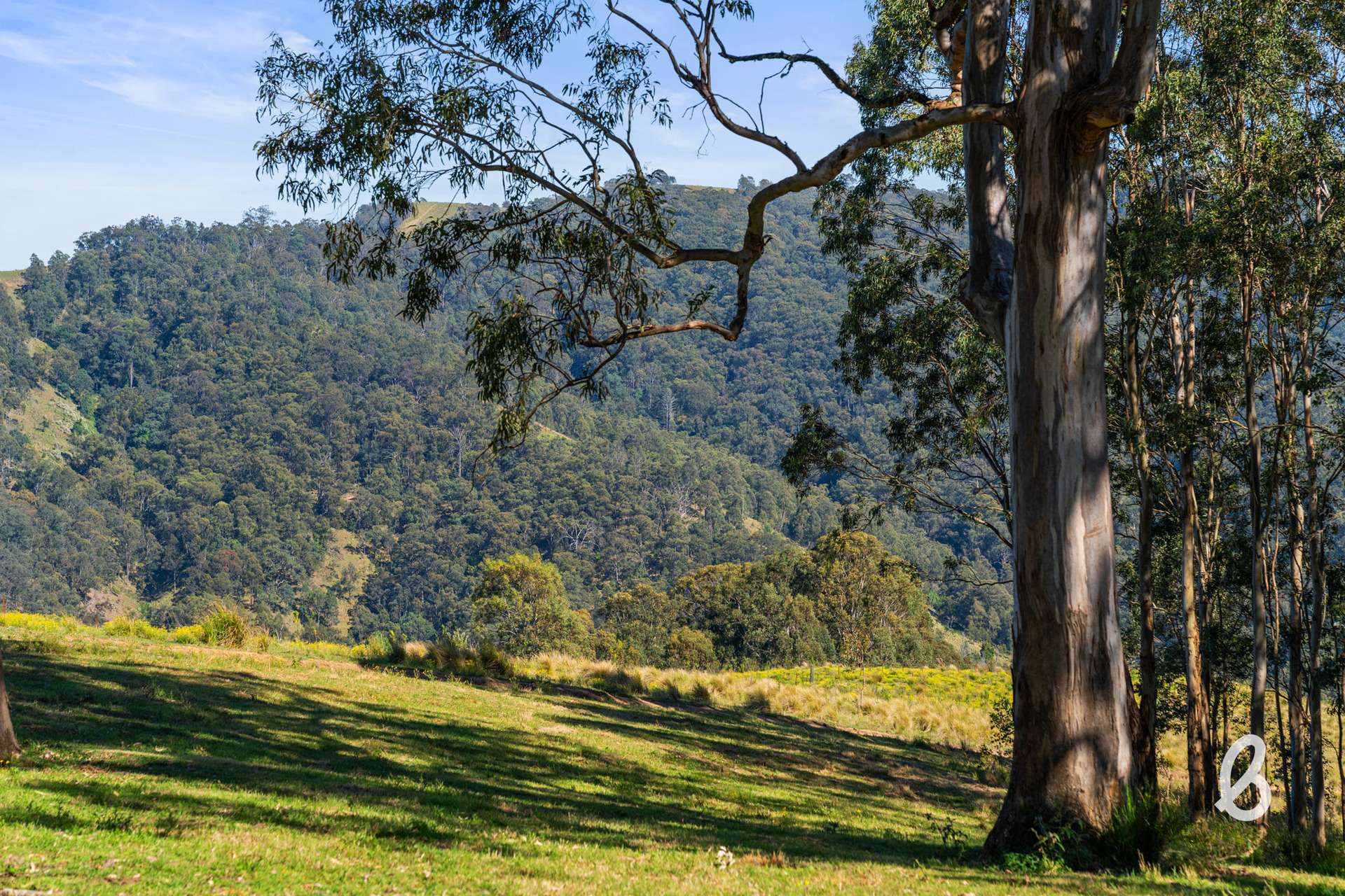 "Fosters" Off Cassels Road, Singleton Sold by Farmbuy.com - image 33
