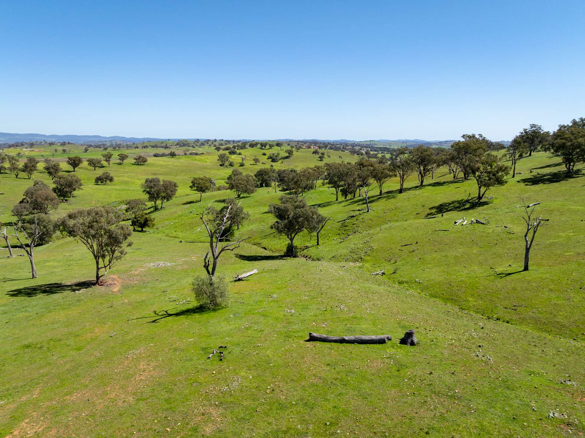 6814 Burrendong Way, Mumbil For Sale by Farmbuy.com - image 25