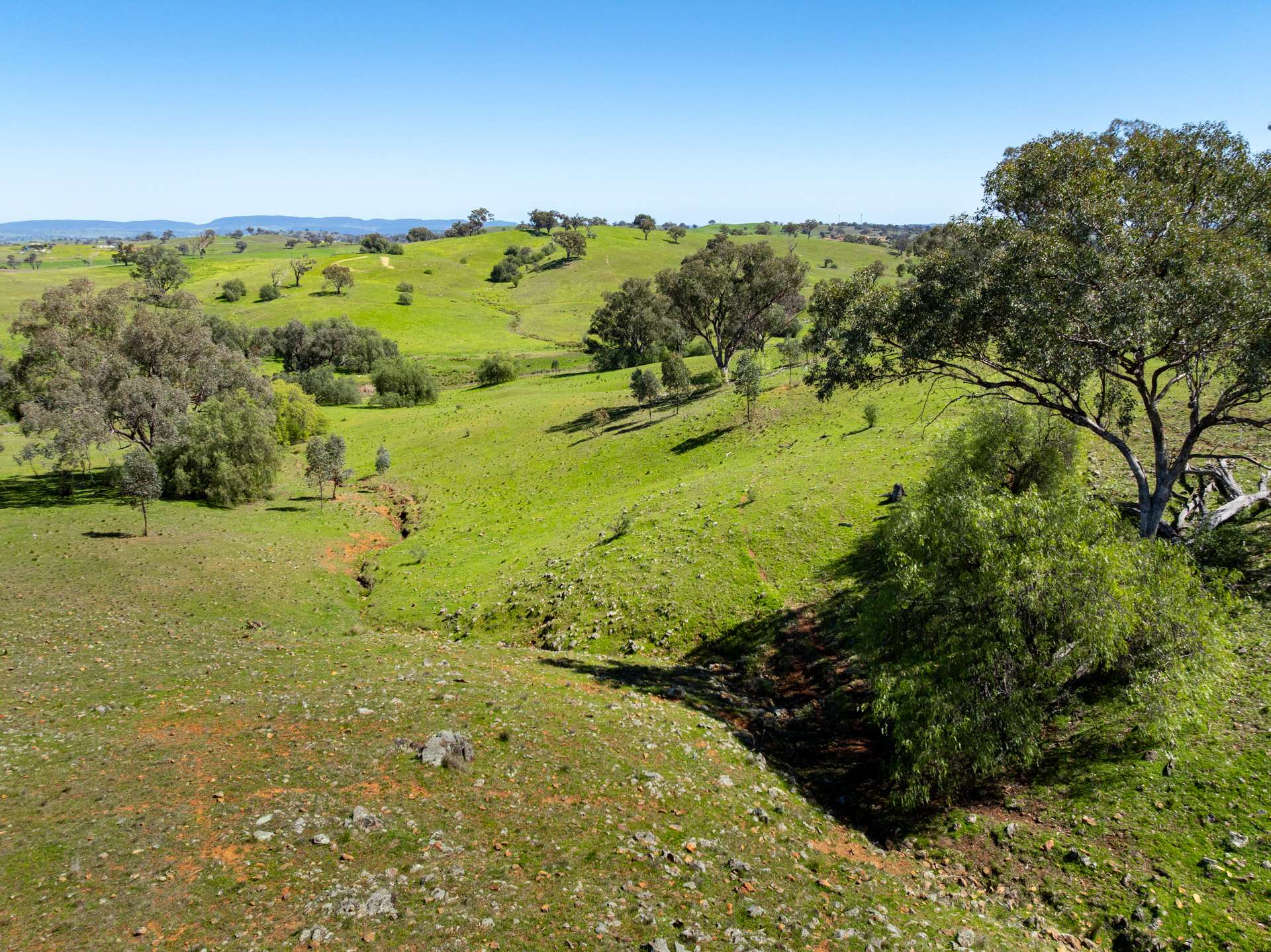 6814 Burrendong Way, Mumbil For Sale by Farmbuy.com - image 29