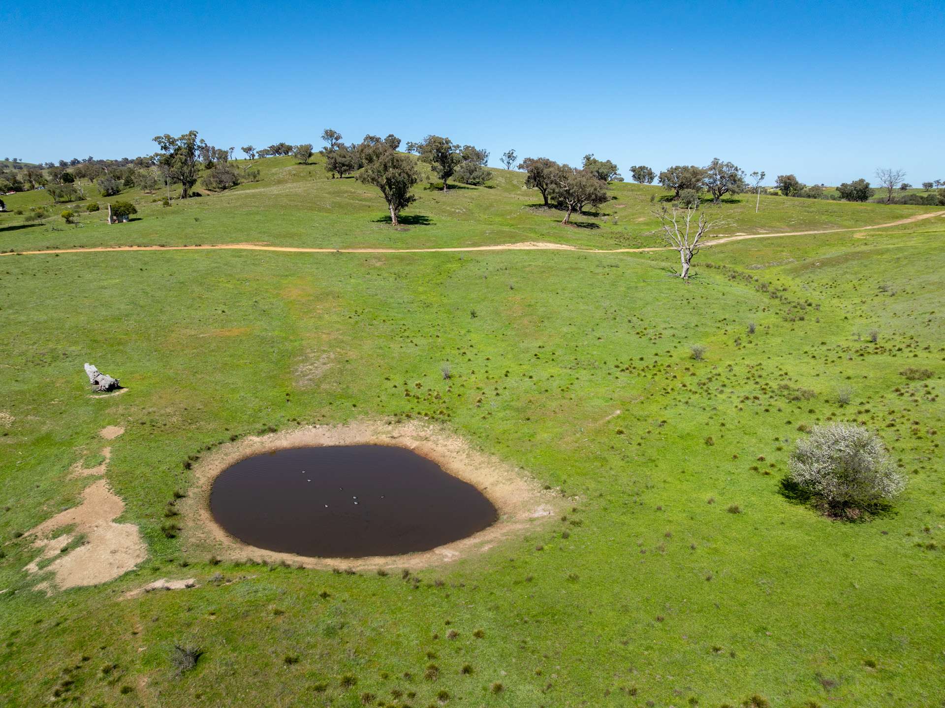6814 Burrendong Way, Mumbil For Sale by Farmbuy.com - image 10