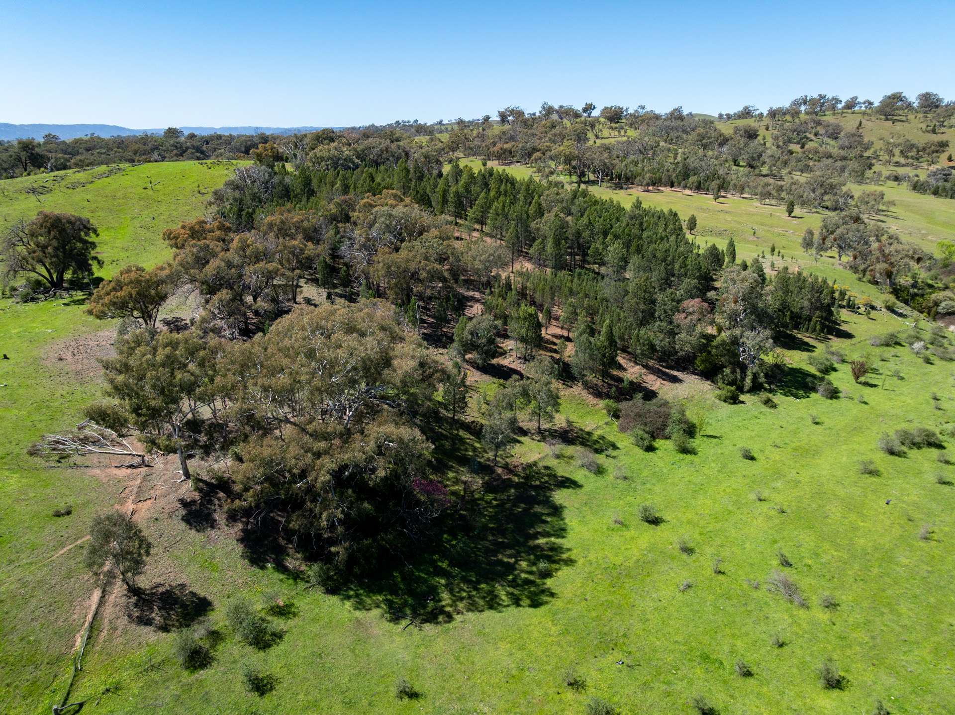 6814 Burrendong Way, Mumbil For Sale by Farmbuy.com - image 11