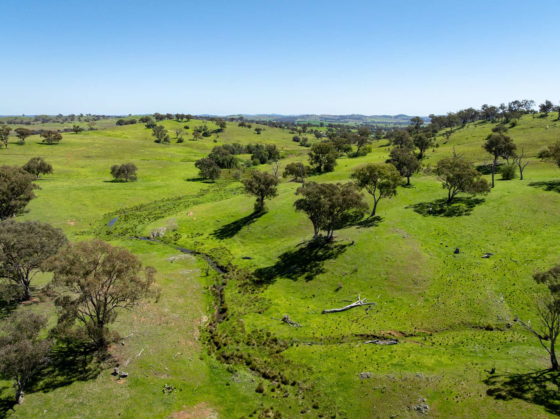 6814 Burrendong Way, Mumbil For Sale by Farmbuy.com - image 26