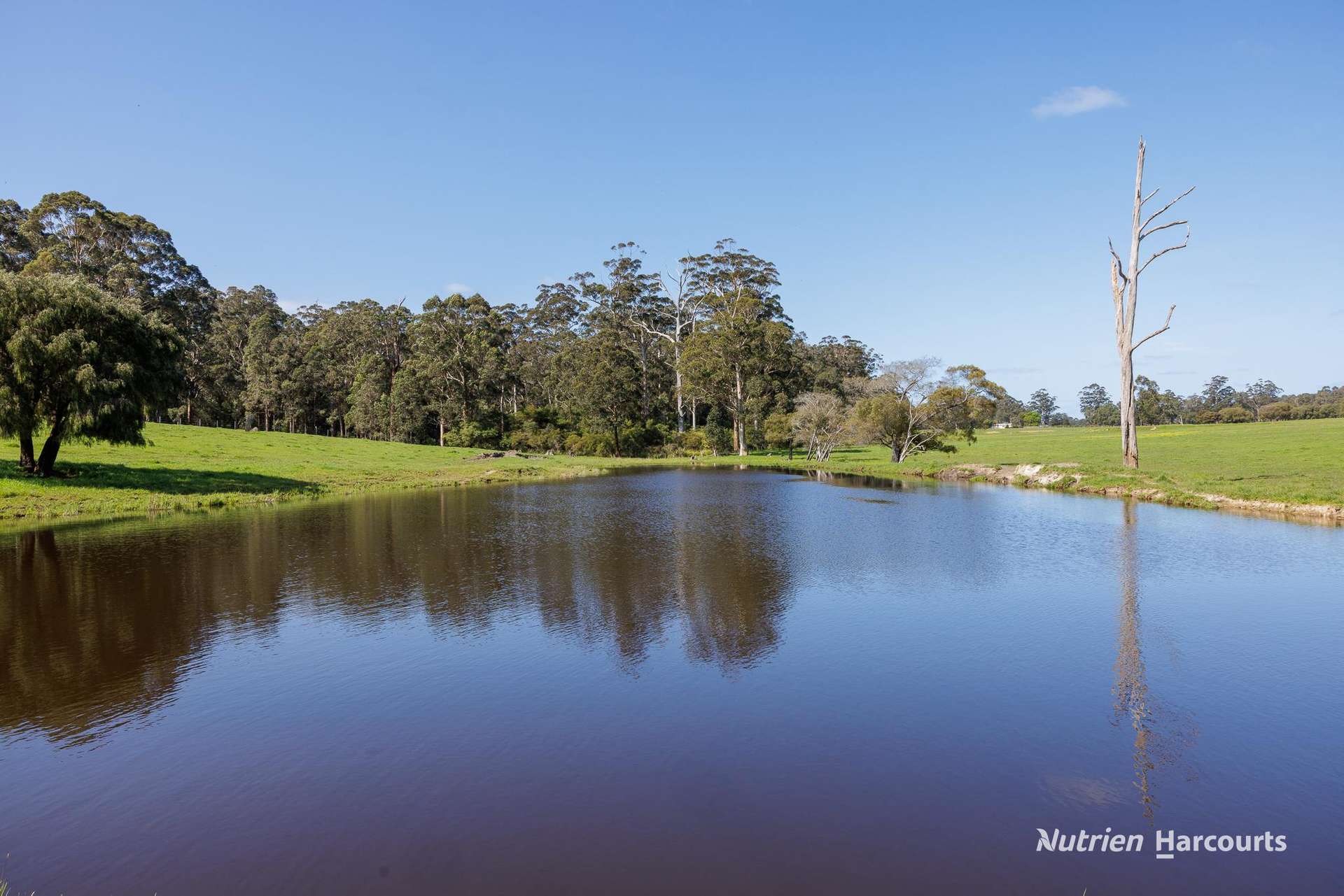 1545 Muirillup Road, Boorara Brook For Sale by Farmbuy.com - image 2