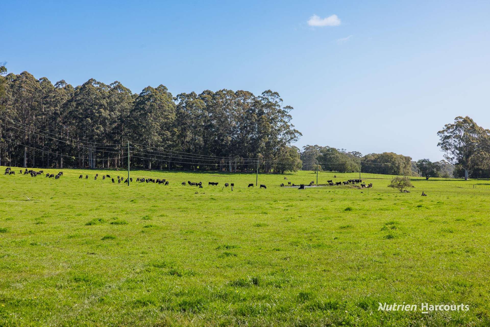 1545 Muirillup Road, Boorara Brook For Sale by Farmbuy.com - image 22