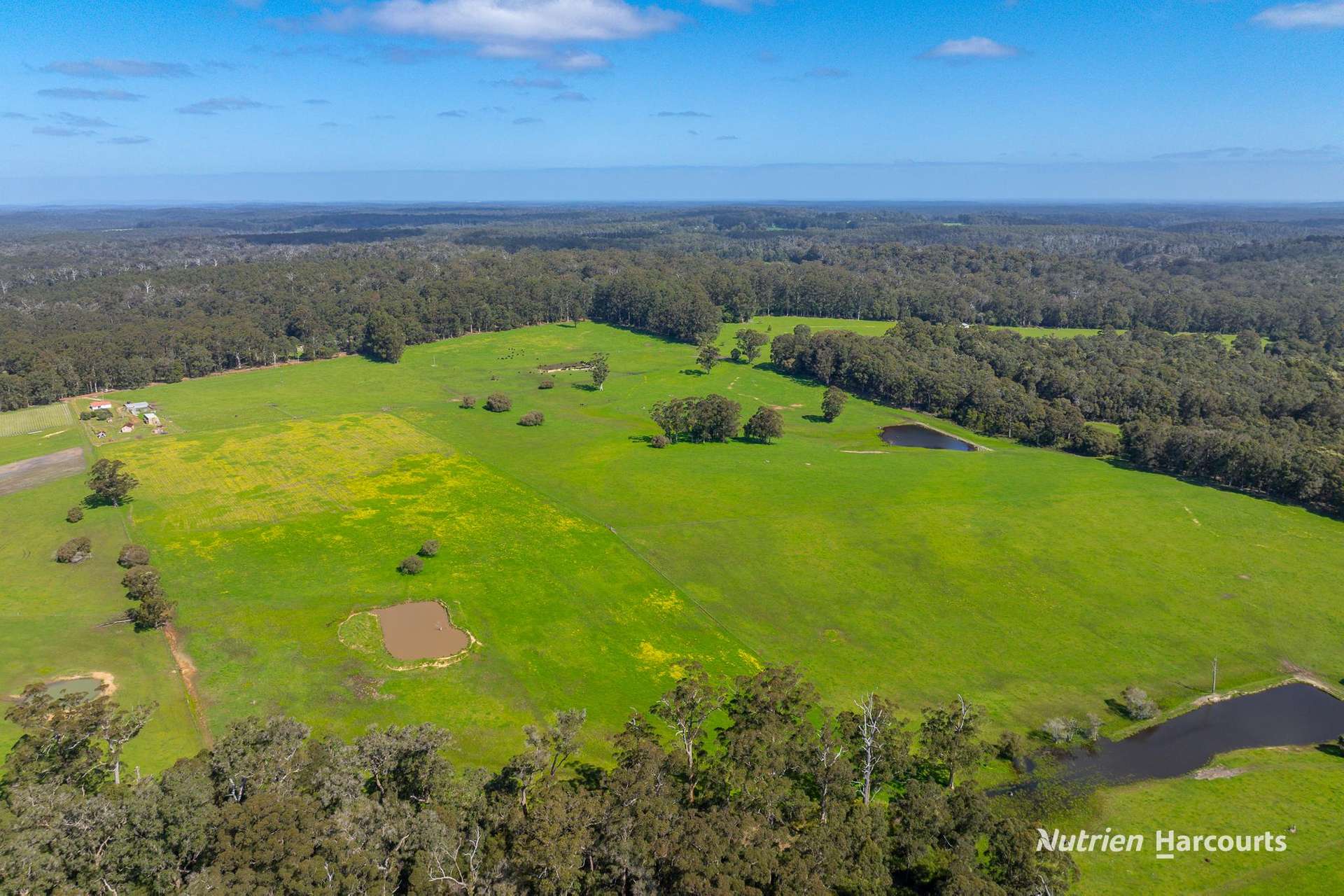 1545 Muirillup Road, Boorara Brook For Sale by Farmbuy.com - image 8