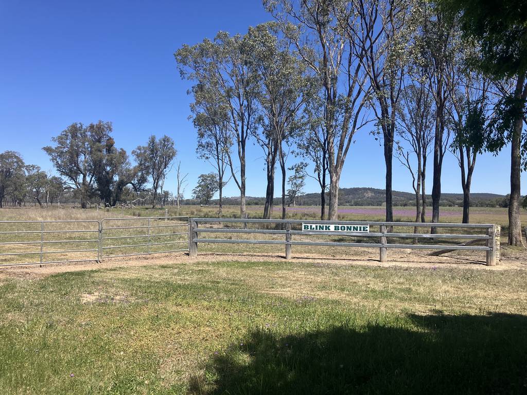 'Blink Bonnie' 1128 Leyburn-Cunningham Road, Old Talgai QLD 4362