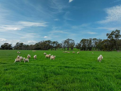 4040 Sunraysia Highway, Lexton VIC 3352