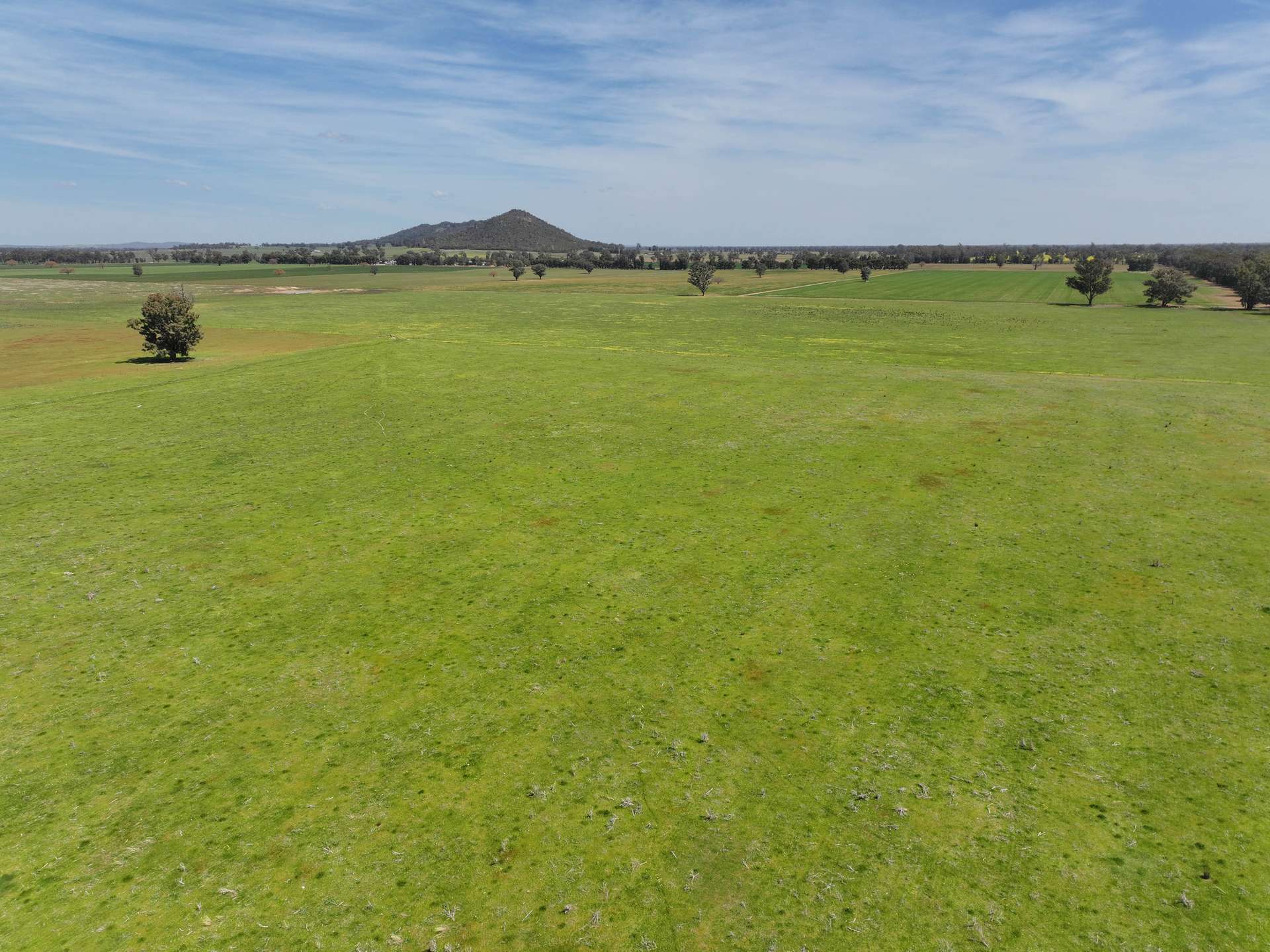 100 Tauntons Road, Kikiamah Sold by Farmbuy.com - image 12