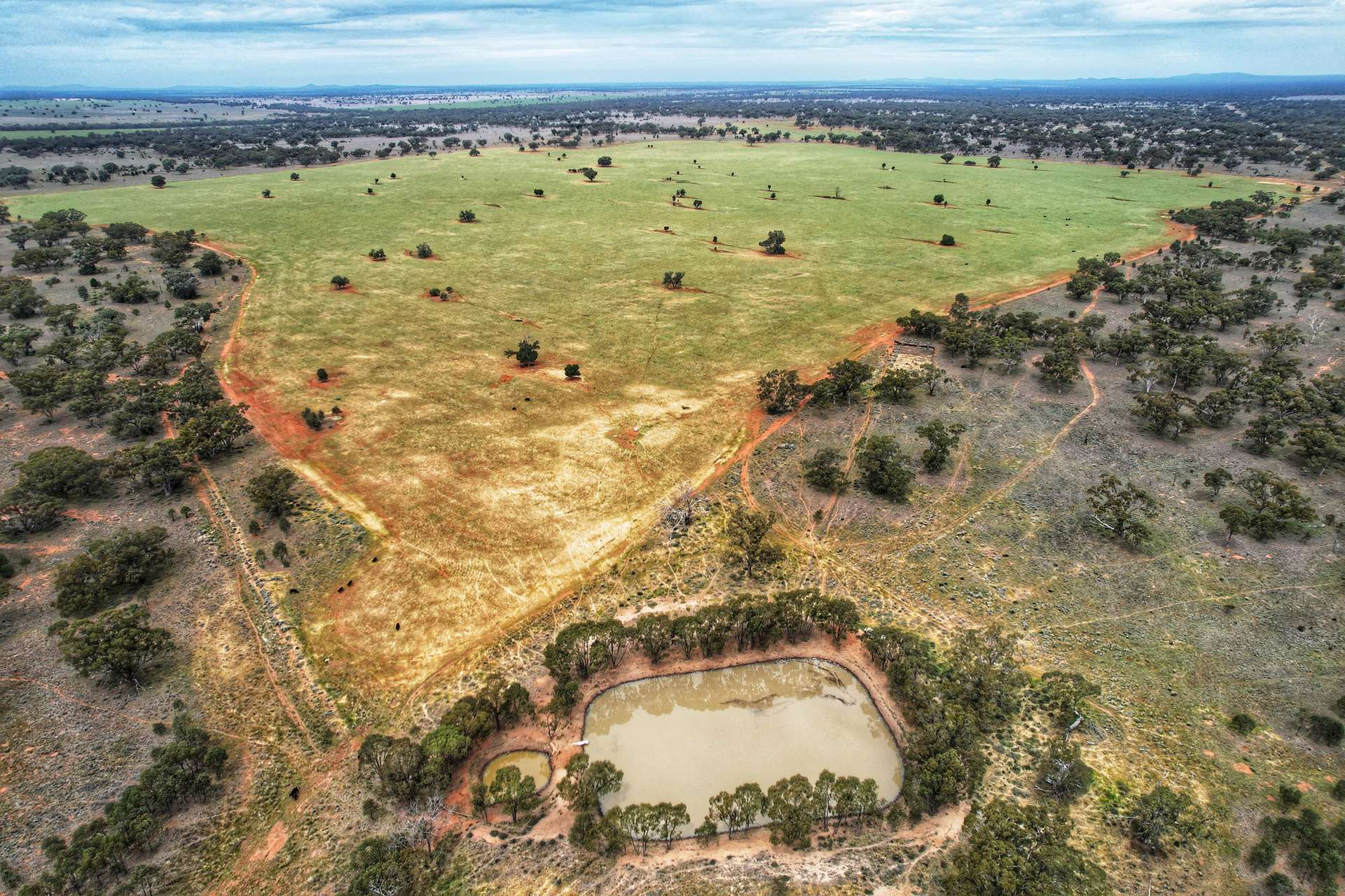 'Napunyah' 1224 Eremeran Road, Condobolin Sold by Farmbuy.com - image 7