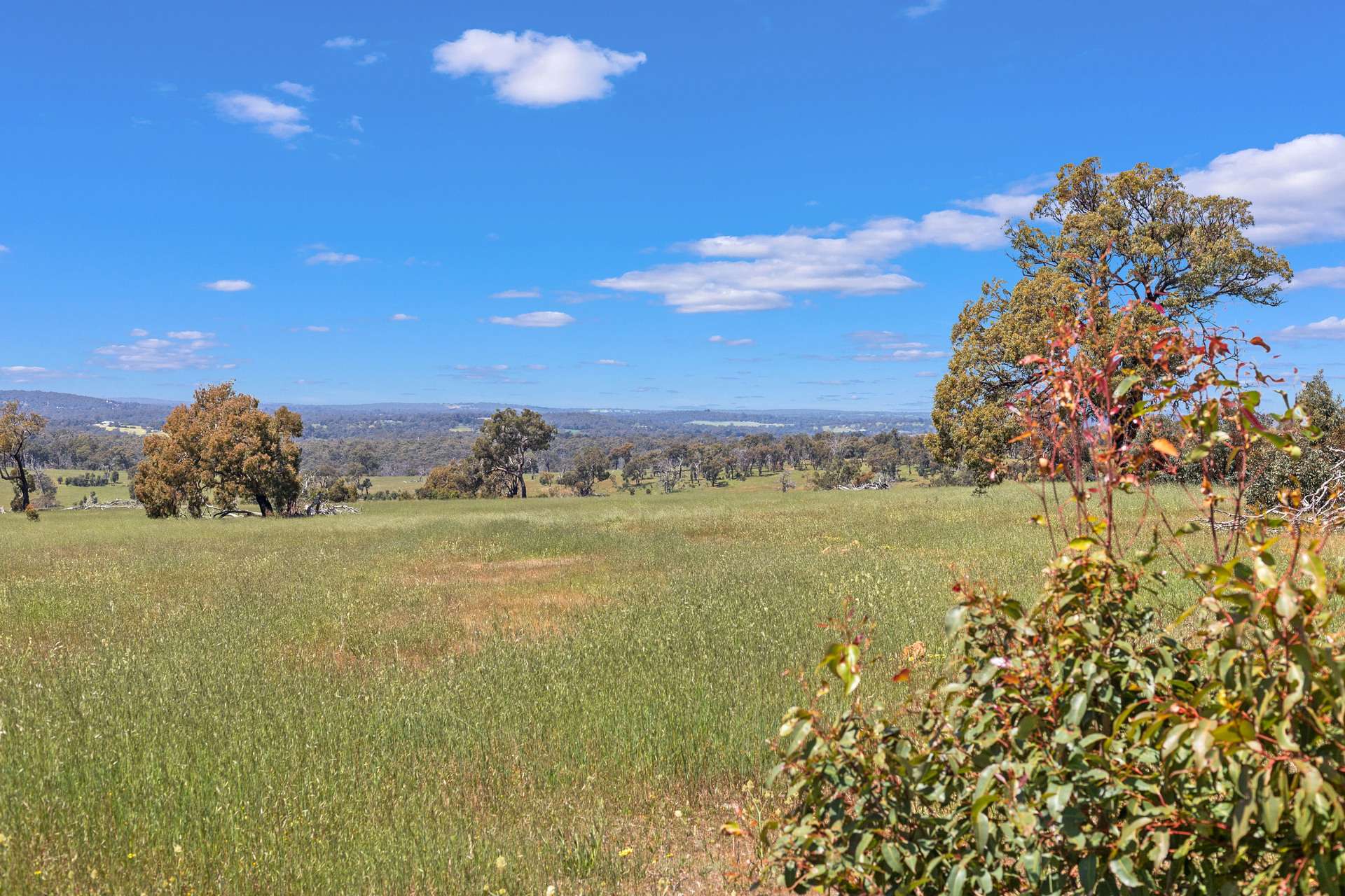 Gidgegannup Sold by Farmbuy.com - image 14