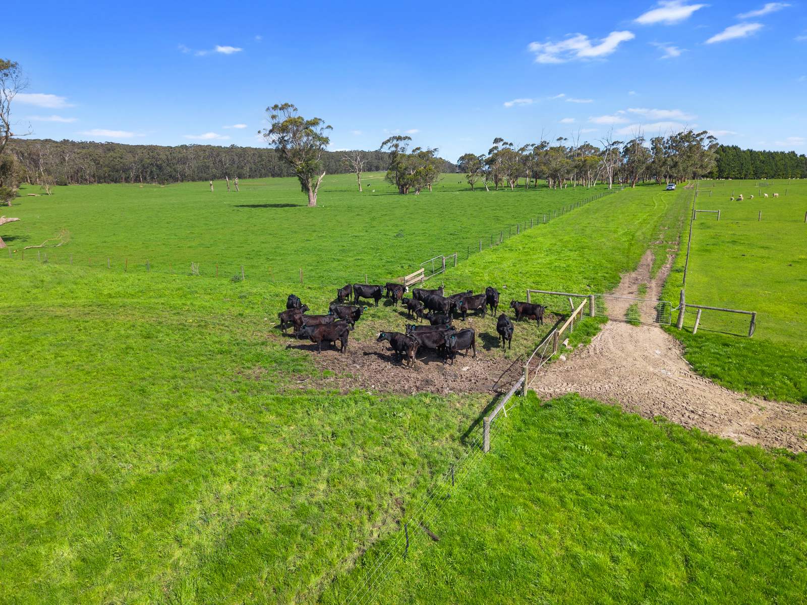 149 Timboon-Port Campbell Road, Timboon Sold by Farmbuy.com - image 8
