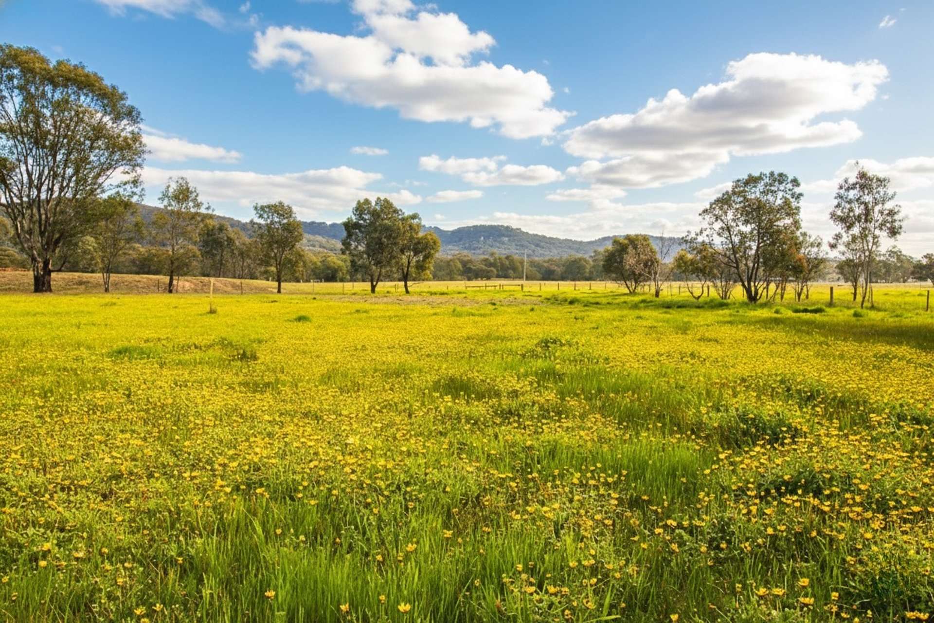 384 Euroa Mansfield Road, Euroa For Sale by Farmbuy.com - image 2