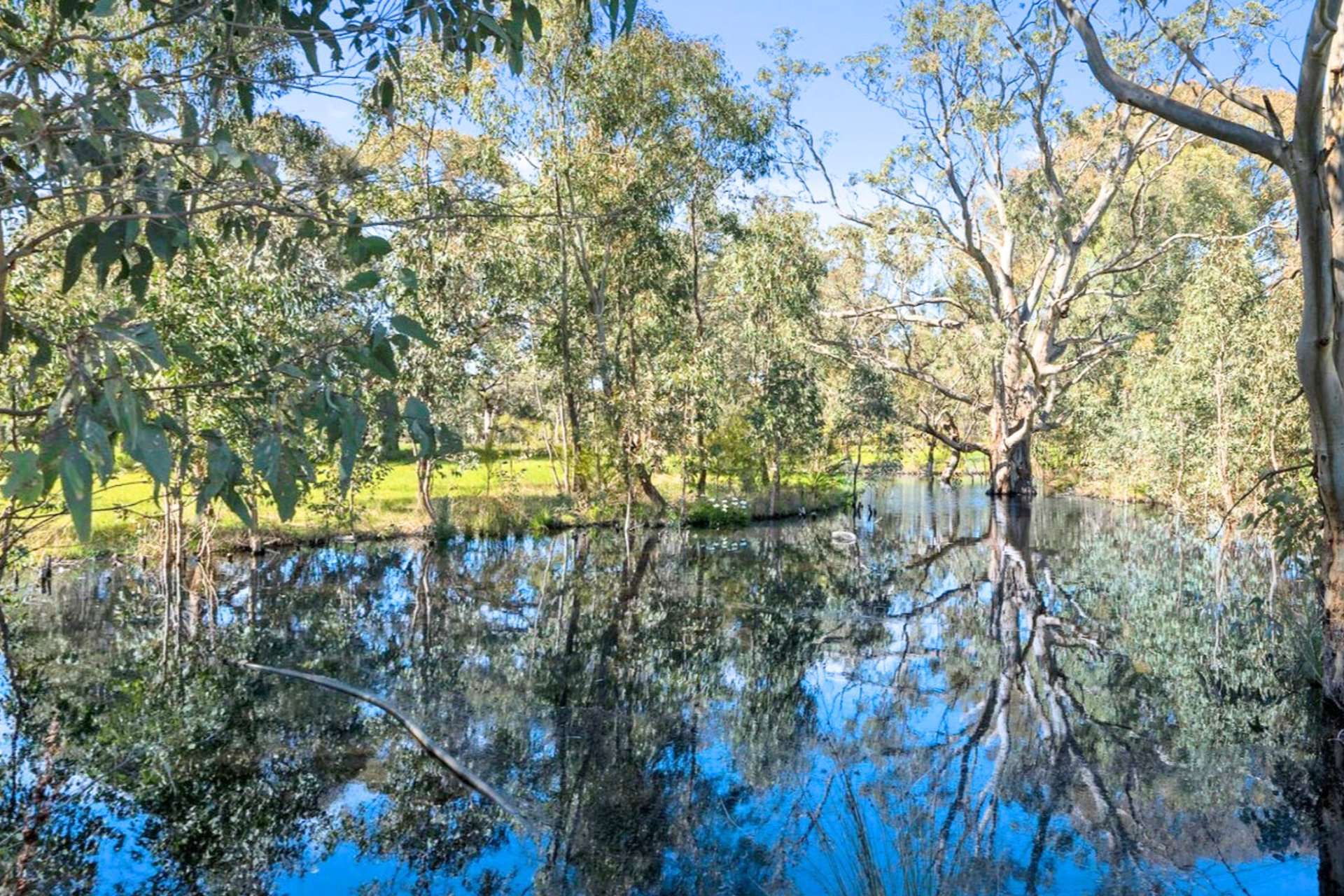 384 Euroa Mansfield Road, Euroa For Sale by Farmbuy.com - image 3