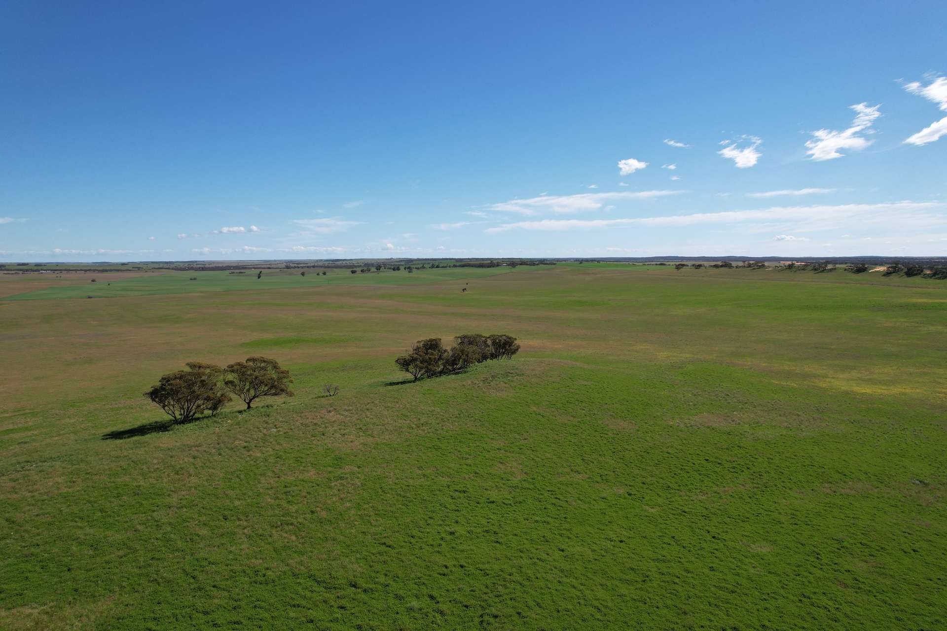 252 Hoffner Road, Sandalwood For Sale by Farmbuy.com - image 6